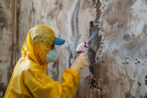 Mold Remediation